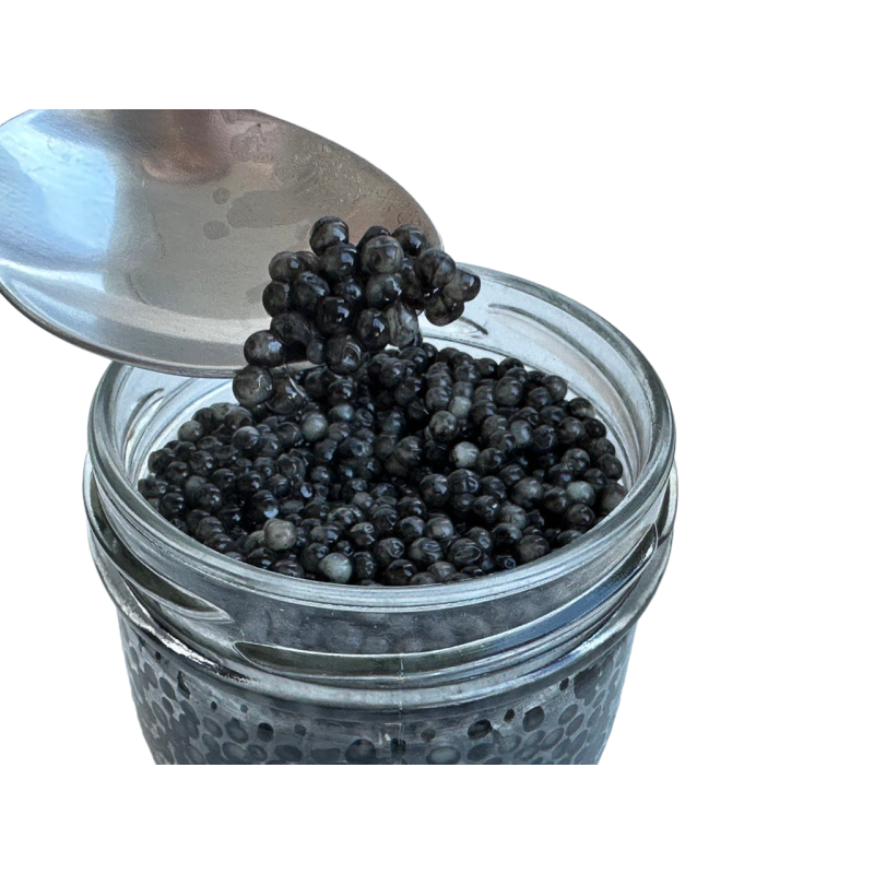 Икра каспийского осетра 100 г Iranian Caviar (производство Казахстан)